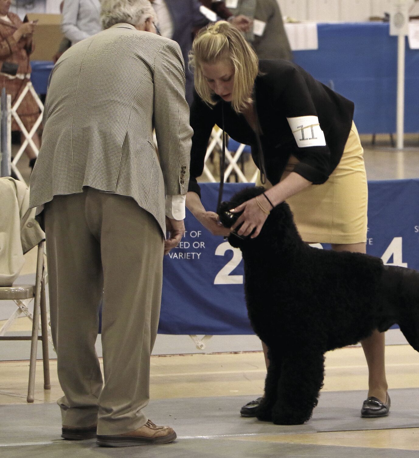 PHOTOS: 2022 AKC Dog Show